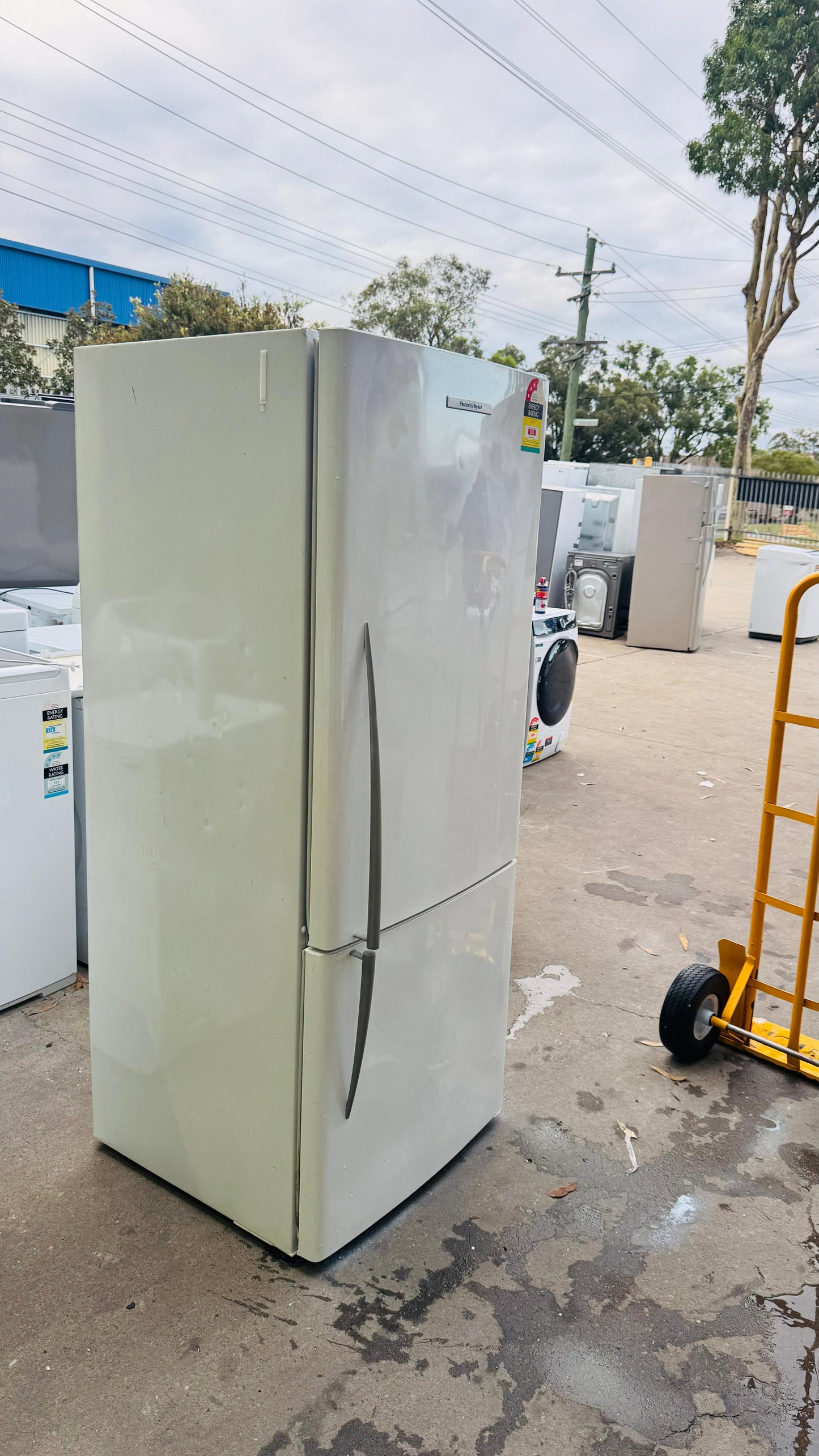 FISHER AND PAYKEL 442 LITRES FRIDGE FREEZER