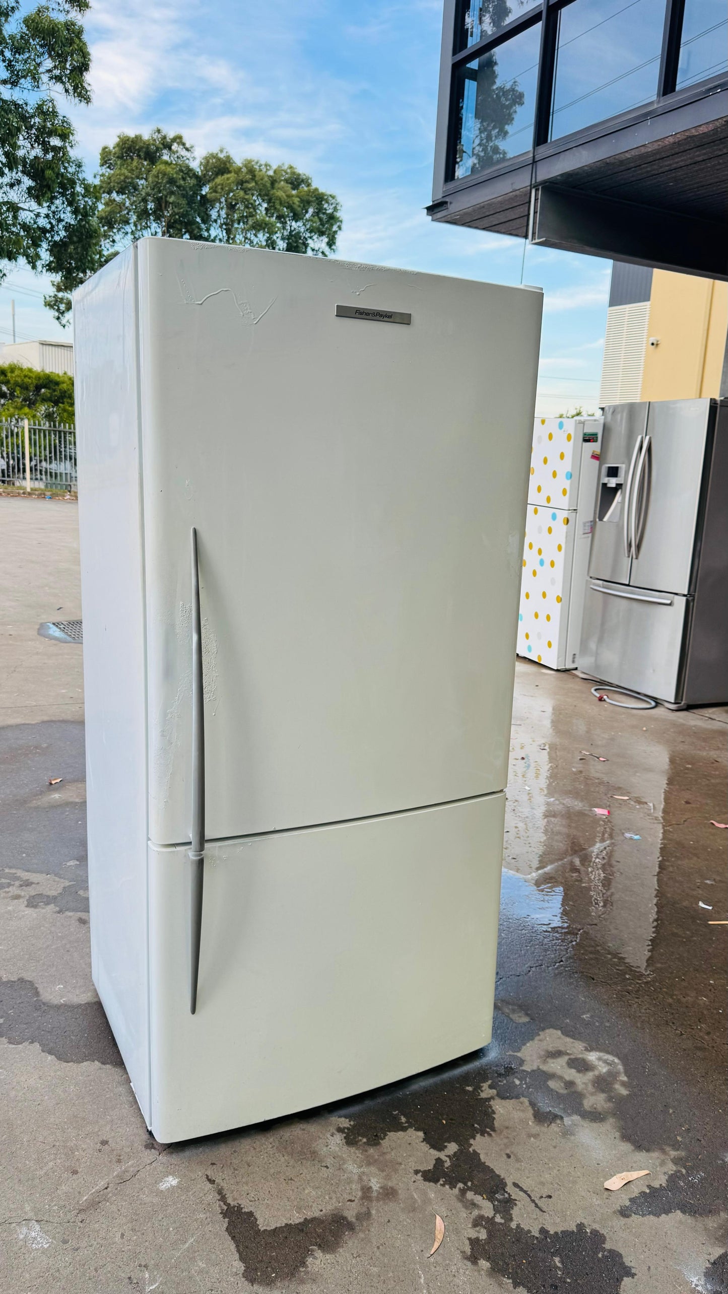 FISHER AND PAYKEL 519 LITRES FRIDGE FREEZER