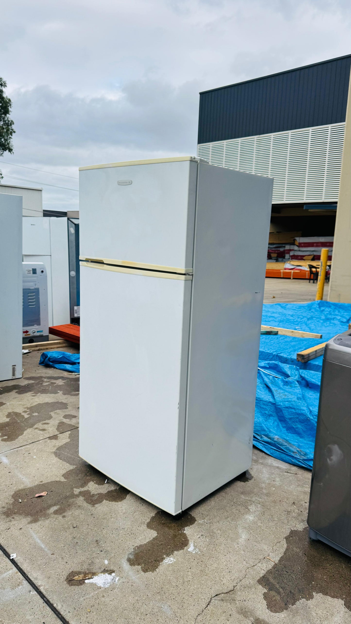 KELVINATOR 520 LITRES FRIDGE FREEZER