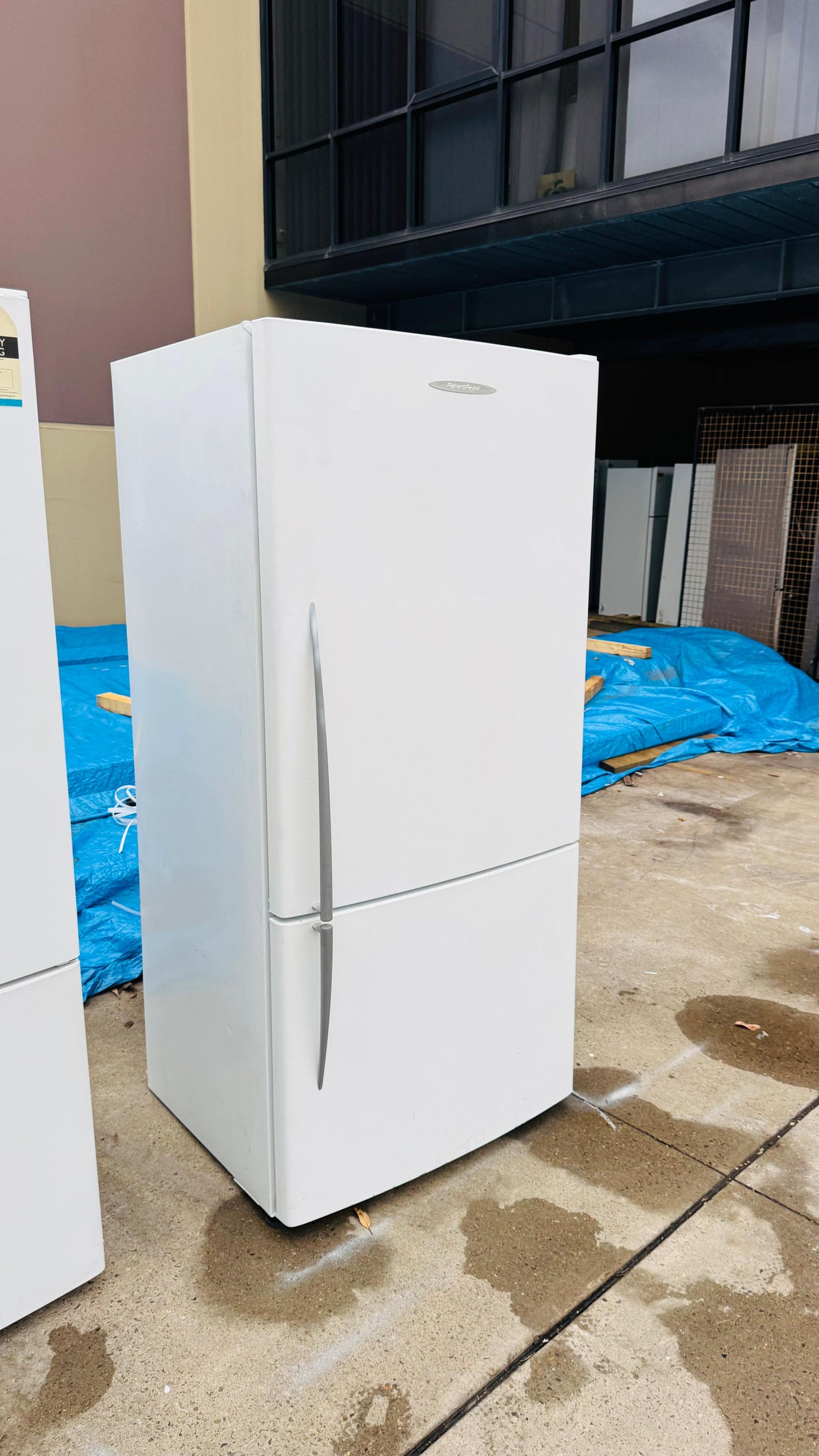 FISHER AND PAYKEL 519 LITRES FRIDGE FREEZER