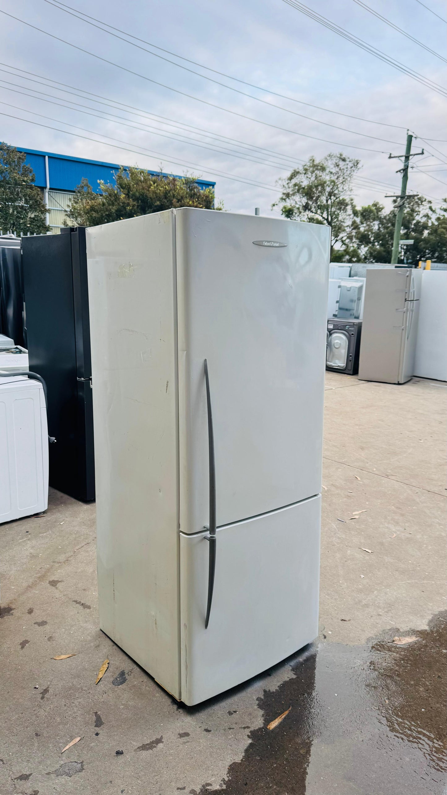 FISHER AND PAYKEL 442 LITRES FRIDGE FREEZER