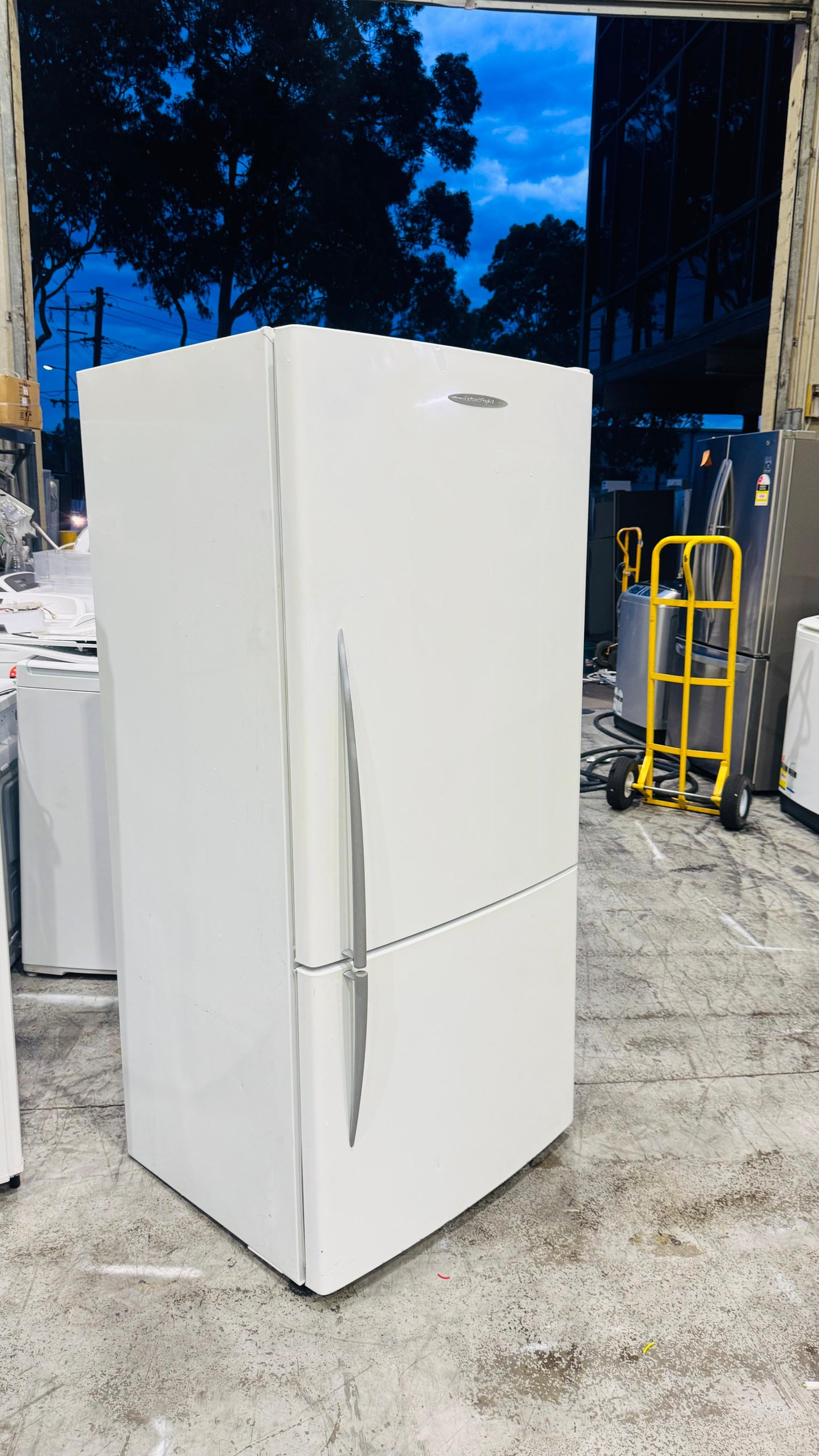 FISHER AND PAYKEL 519 LITRES FRIDGE FREEZER