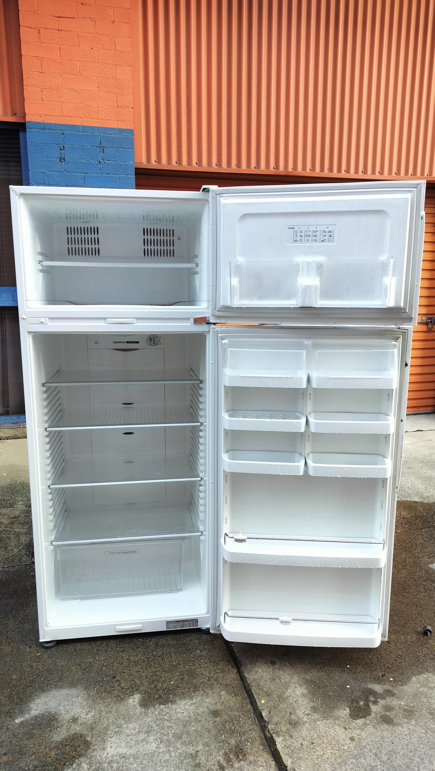 **FISHER & PAYKEL 441 LITRES FRIDGE FREEZER**