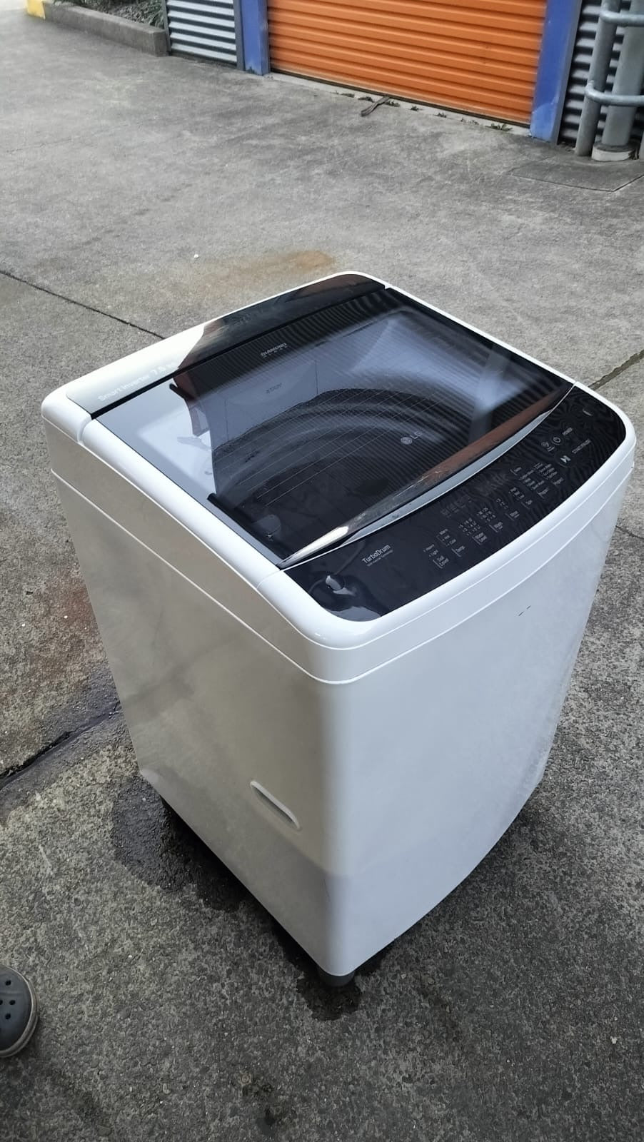 **SAMSUNG 5.5 KGS TOPLOADER WASHING MACHINE**