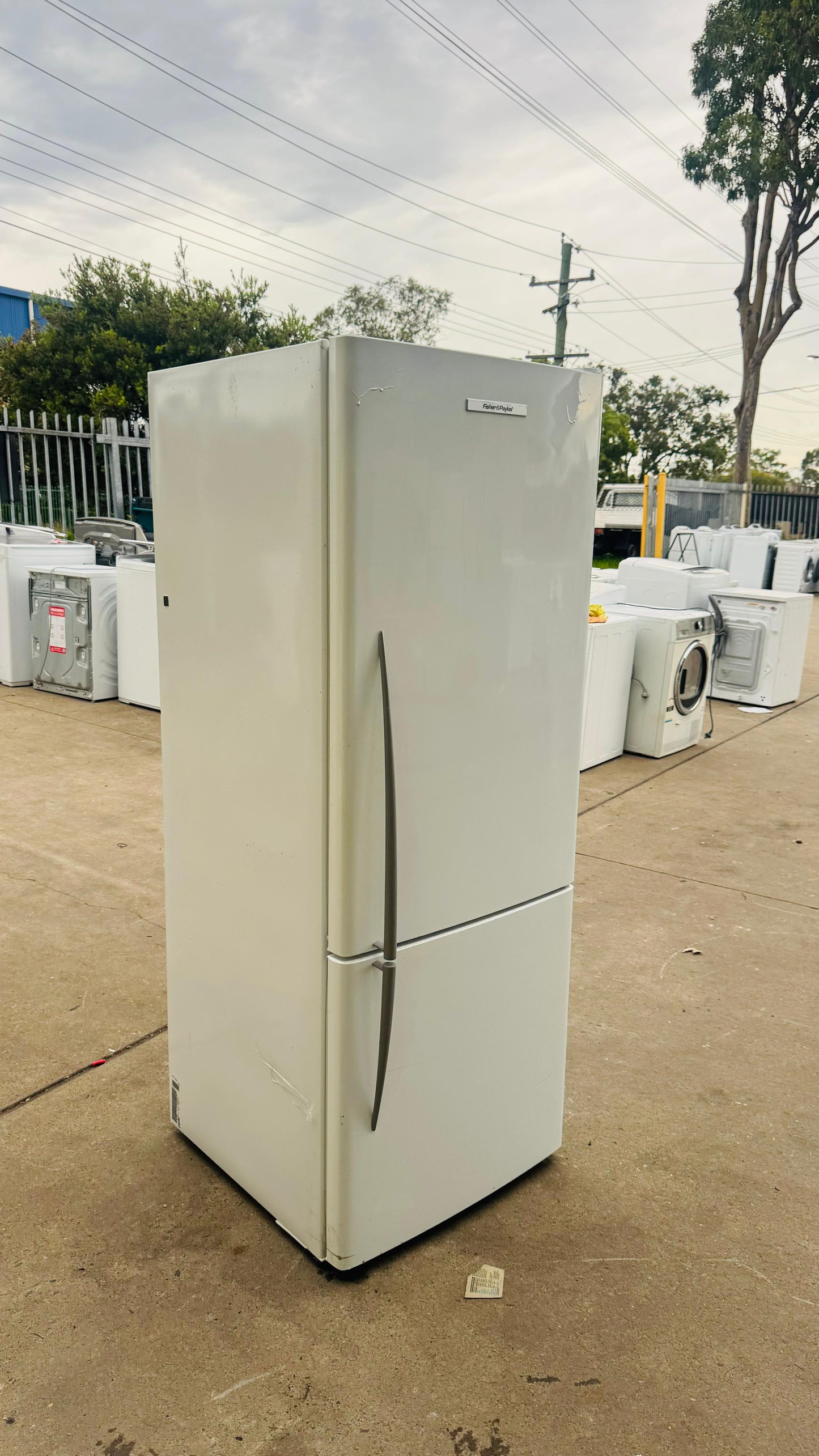 FISHER AND PAYKEL 403 LITRES FRIDGE FREEZER