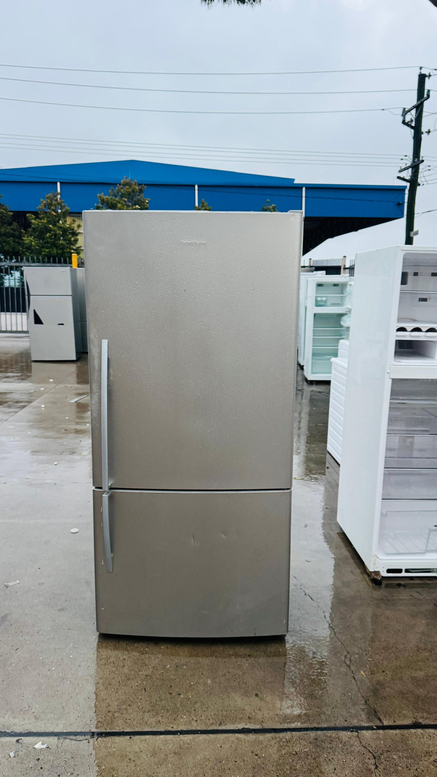 FISHER AND PAYKEL 519 LITRES FRIDGE FREEZER