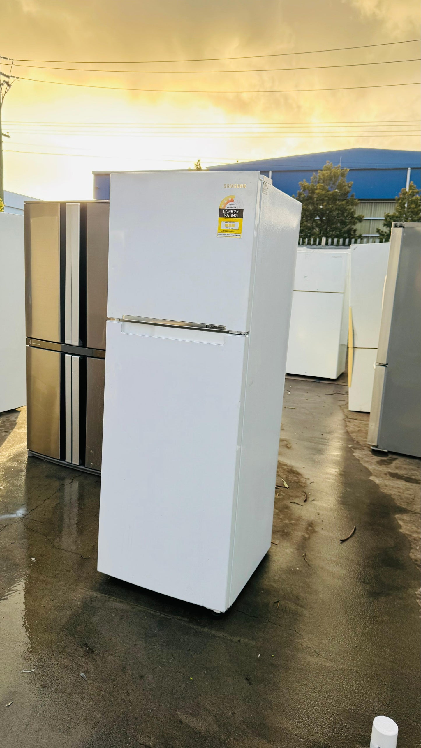 SAMSUNG 343 LITRES FRIDGE FREEZER