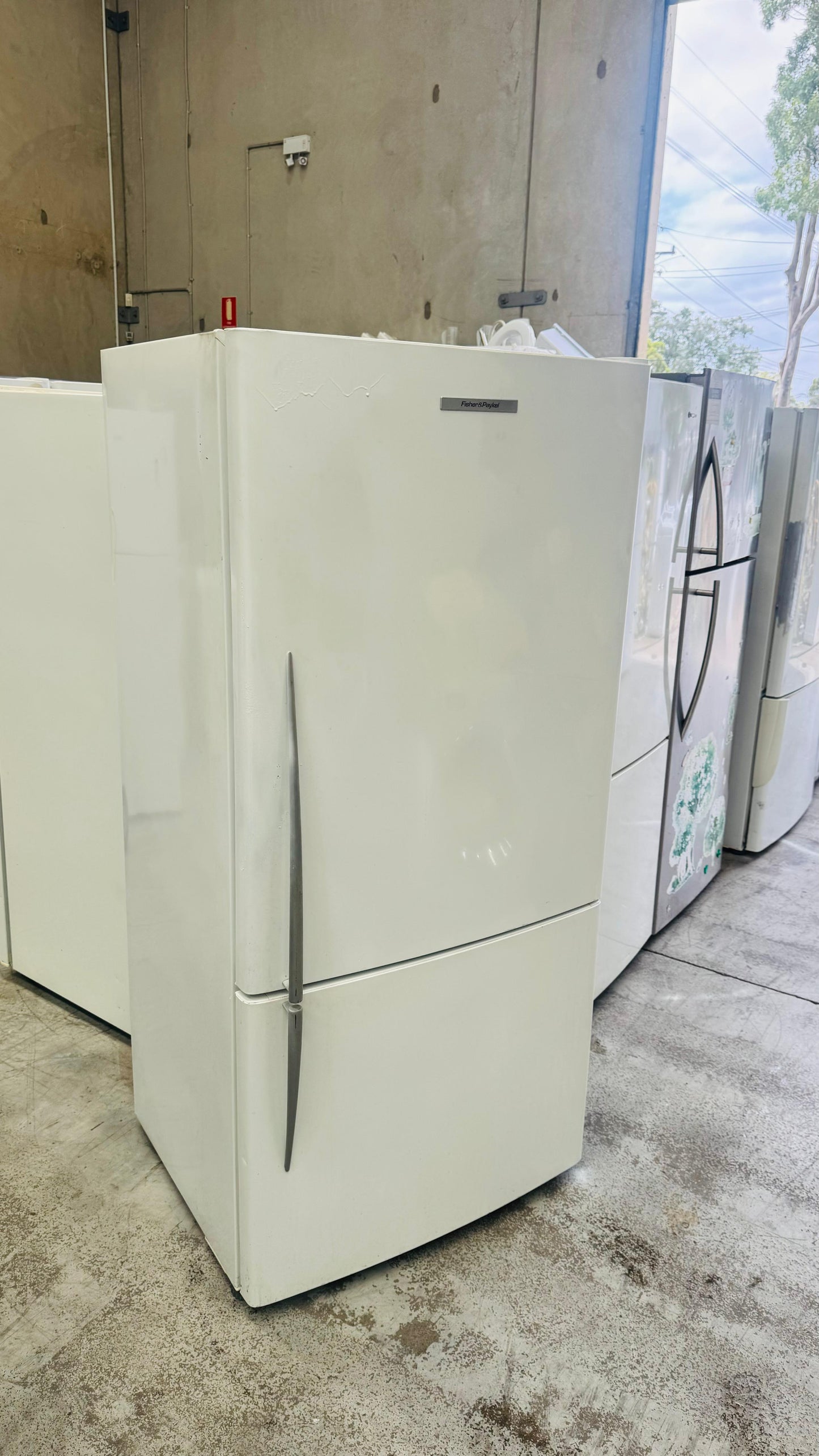 FISHER AND PAYKEL 519 LITRES FRIDGE FREEZER