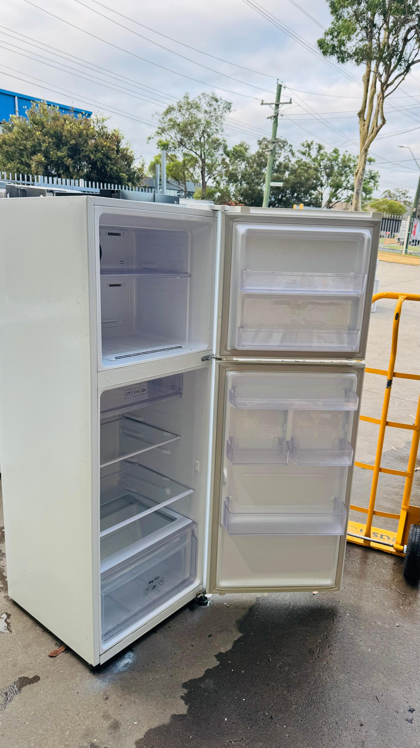 SAMSUNG 318 LITRES FRIDGE FREEZER