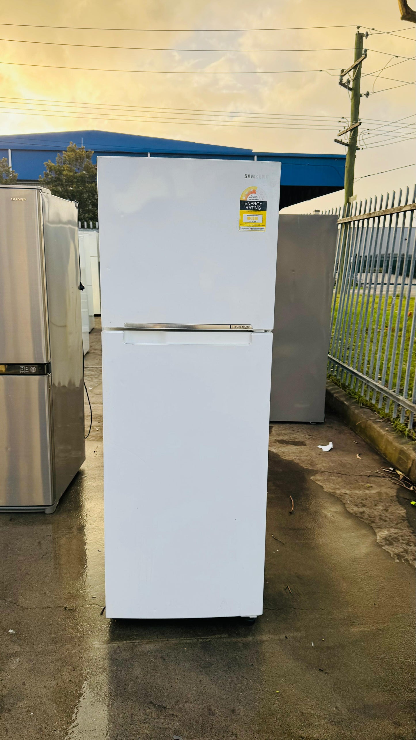 SAMSUNG 343 LITRES FRIDGE FREEZER