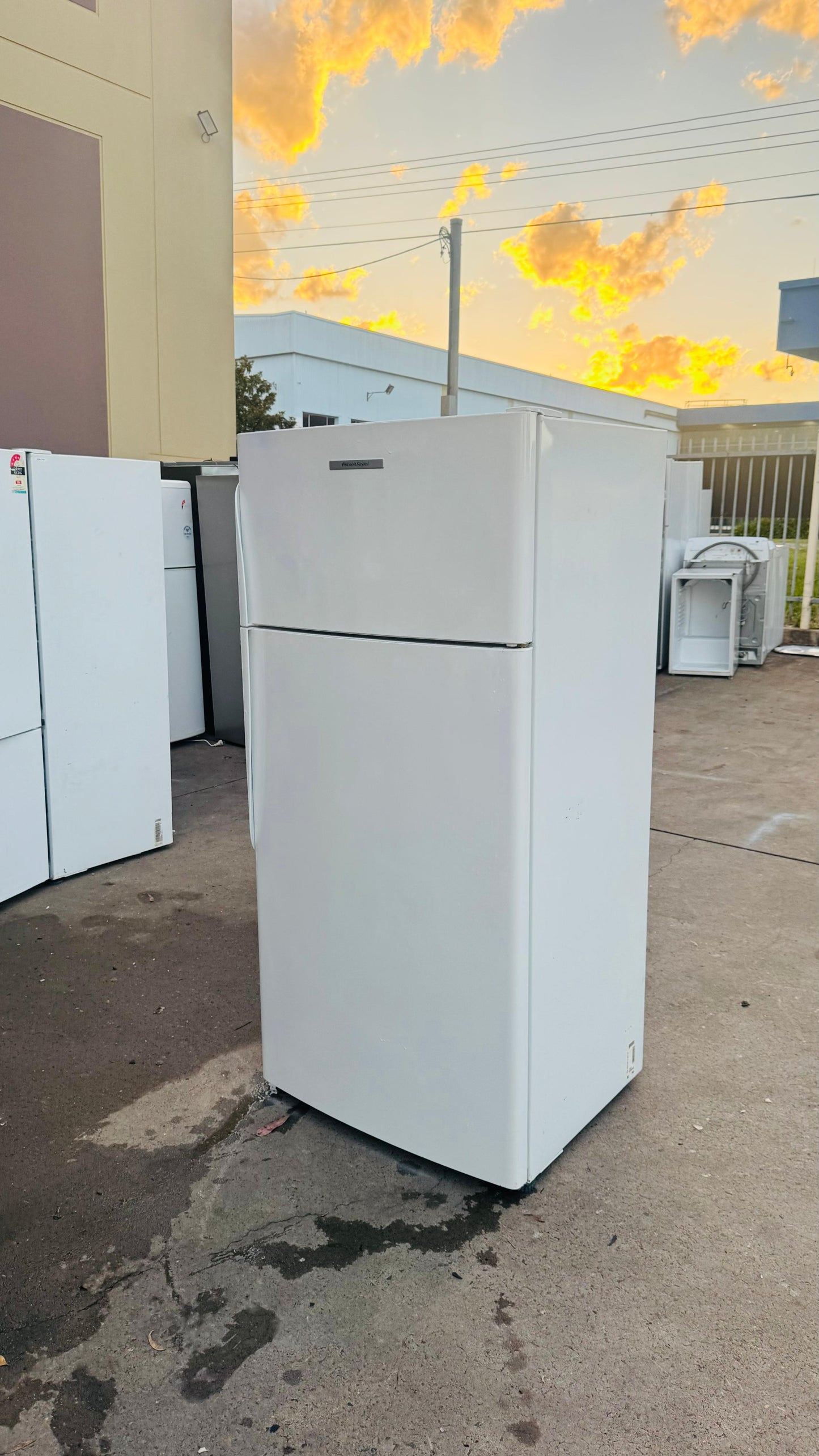 FISHER AND PAYKEL 517 LITRES FRIDGE FREEZER