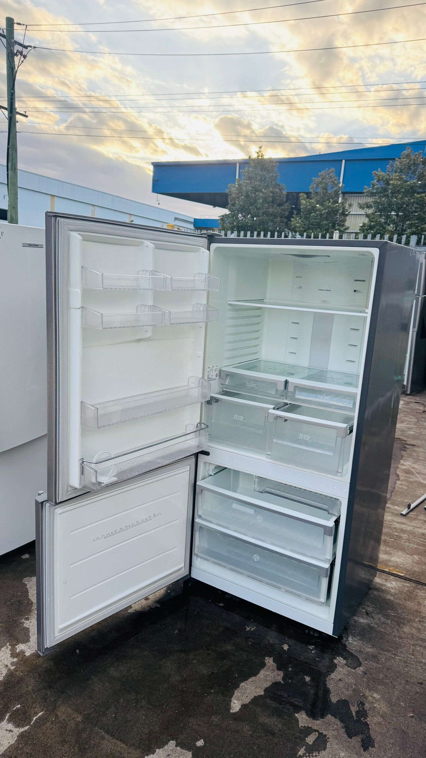 ELECTROLUX 510 LITRES FRIDGE FREEZER