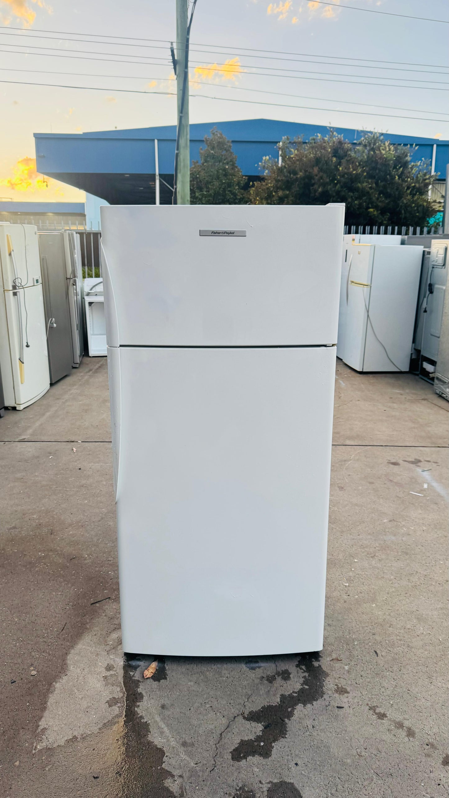 FISHER AND PAYKEL 517 LITRES FRIDGE FREEZER
