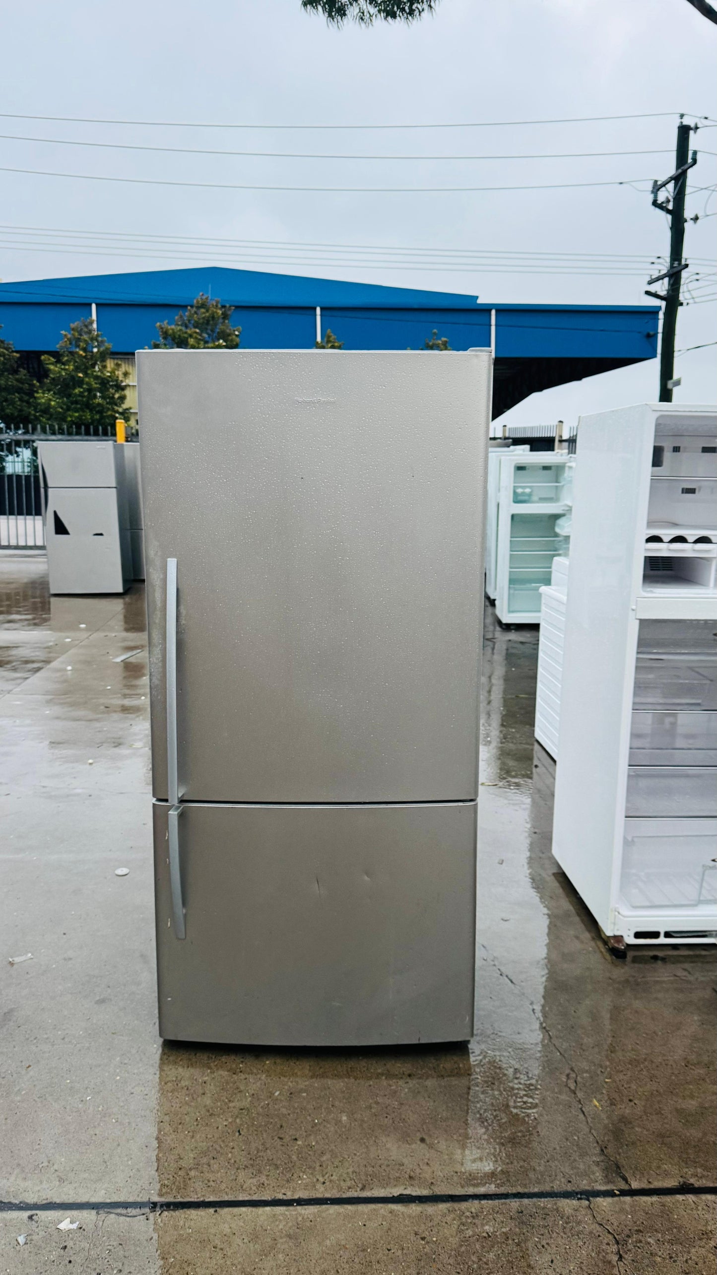 FISHER AND PAYKEL 519 LITRES FRIDGE FREEZER