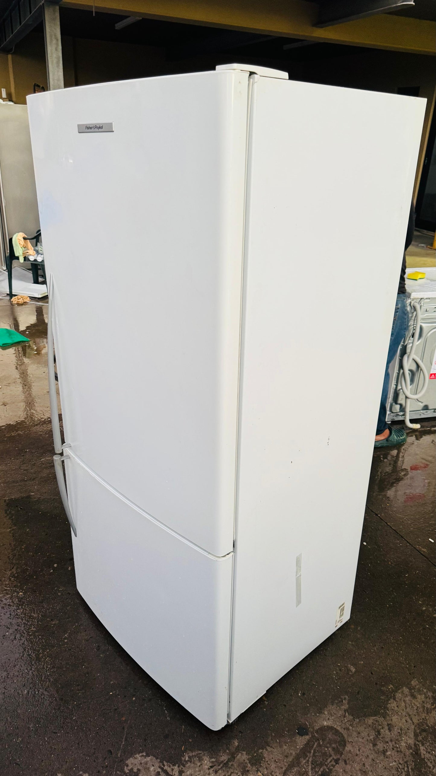 FISHER AND PAYKEL 519 LITRES FRIDGE FREEZER
