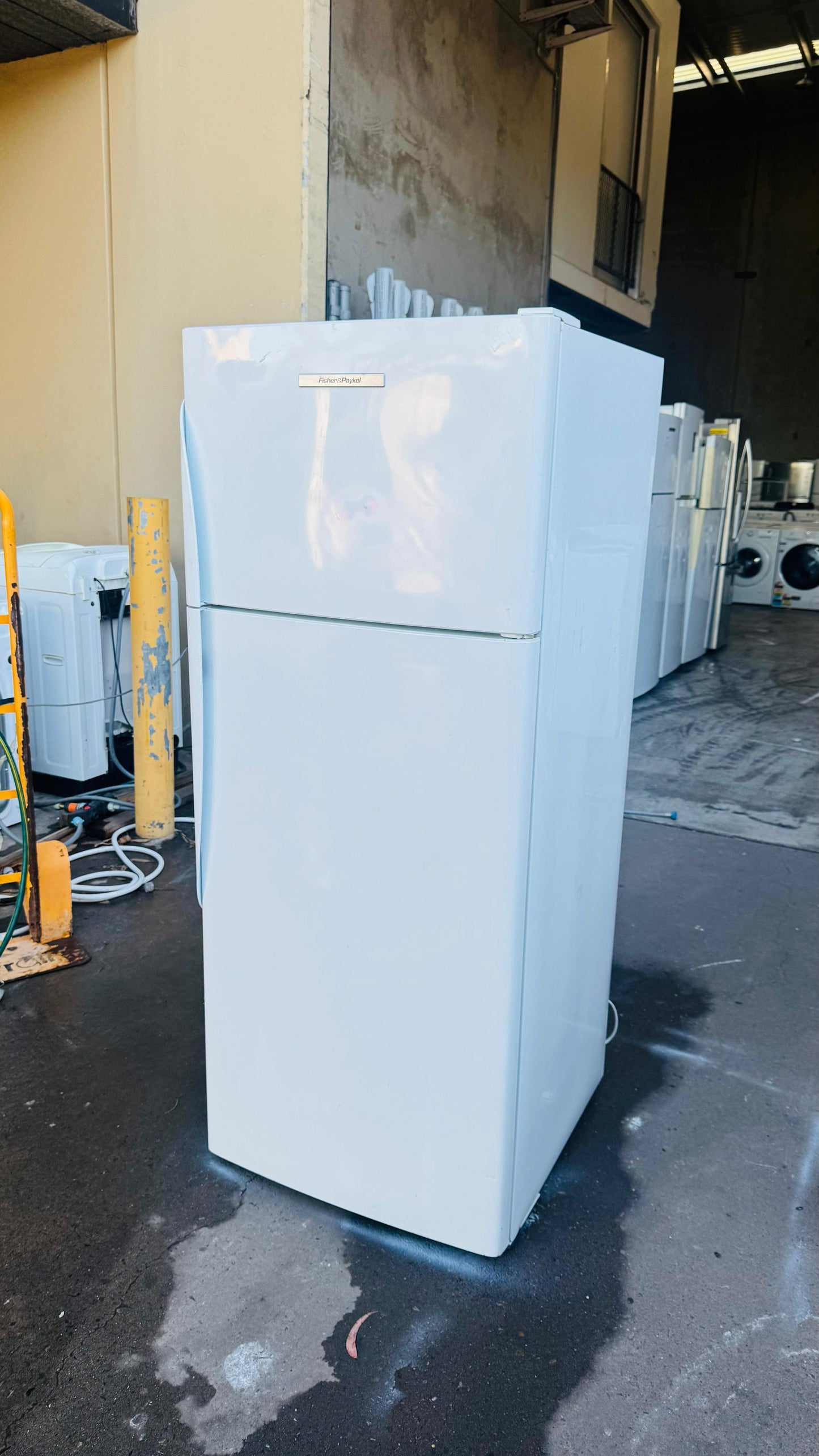 FISHER AND PAYKEL 380 LITRES FRIDGE FREEZER
