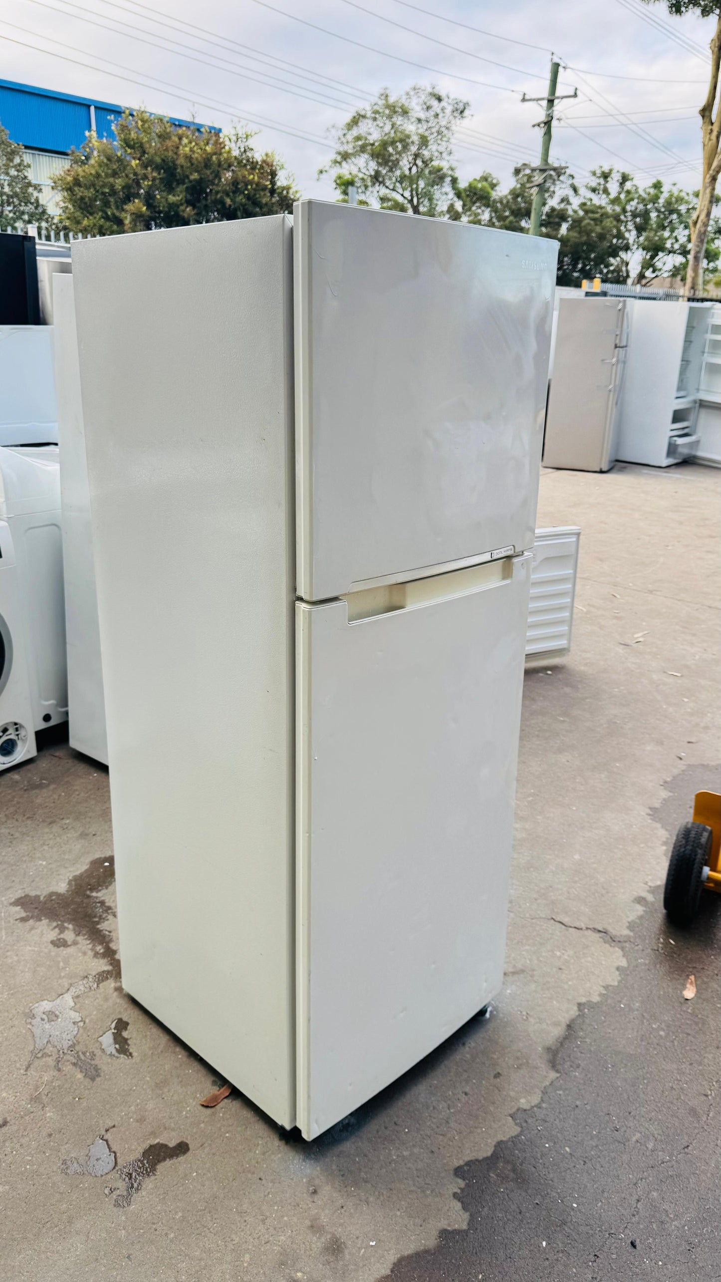SAMSUNG 318 LITRES FRIDGE FREEZER