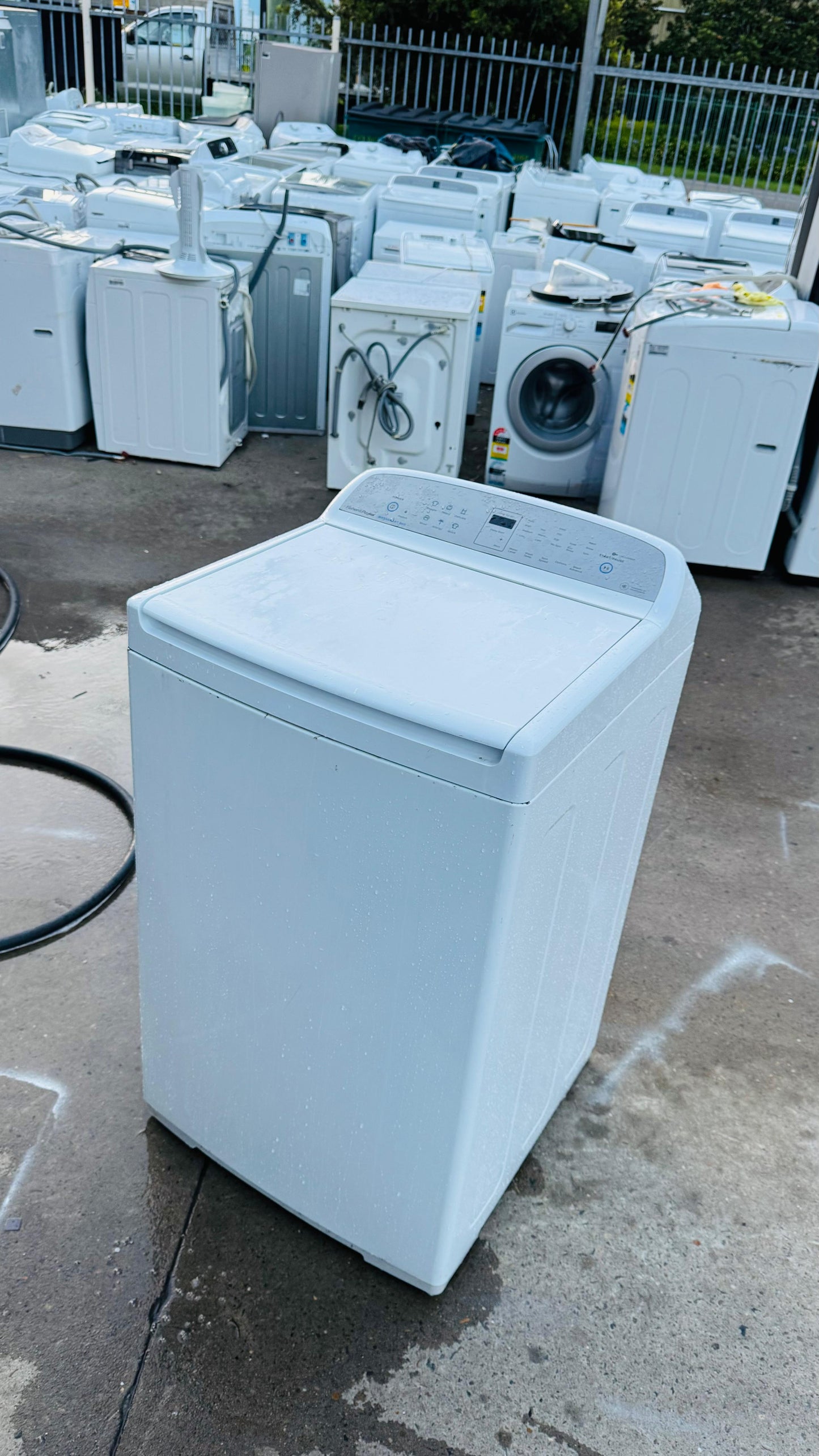 FISHER AND PAYKEL 8KGS TOP LOADER WASHING MACHINE