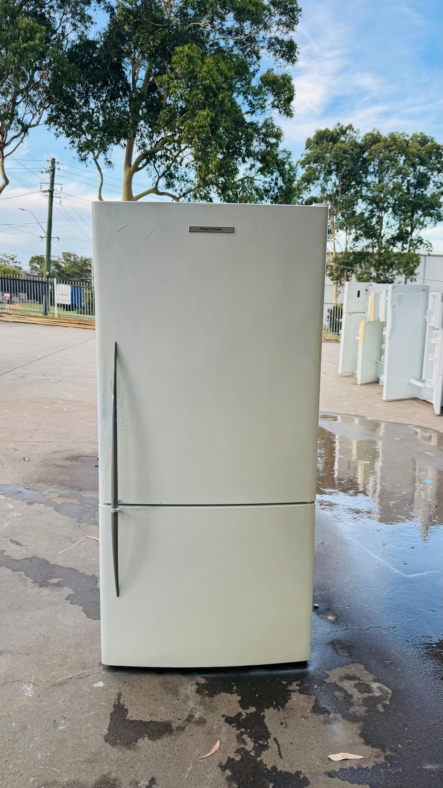 FISHER AND PAYKEL 519 LITRES FRIDGE FREEZER