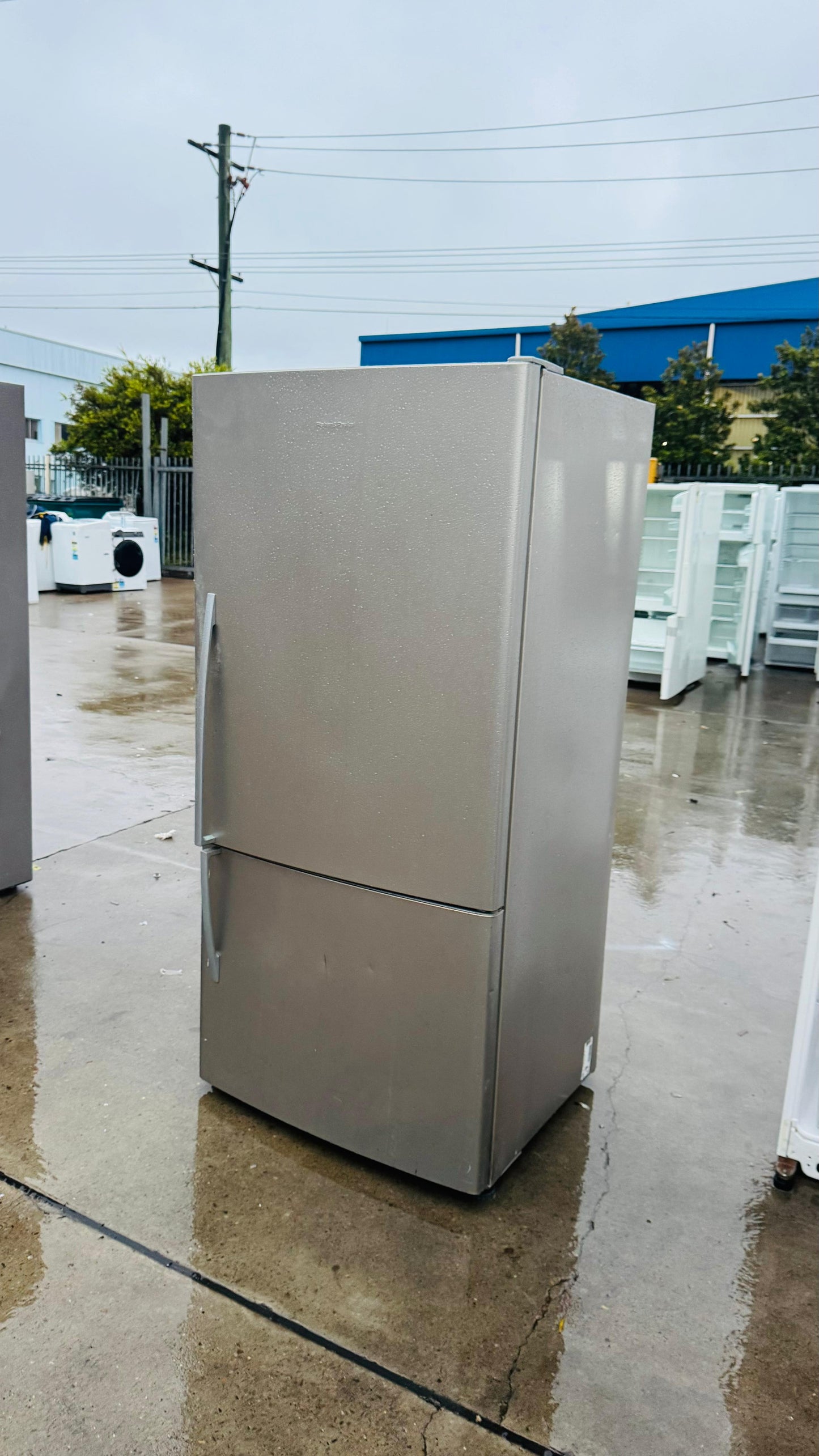 FISHER AND PAYKEL 519 LITRES FRIDGE FREEZER