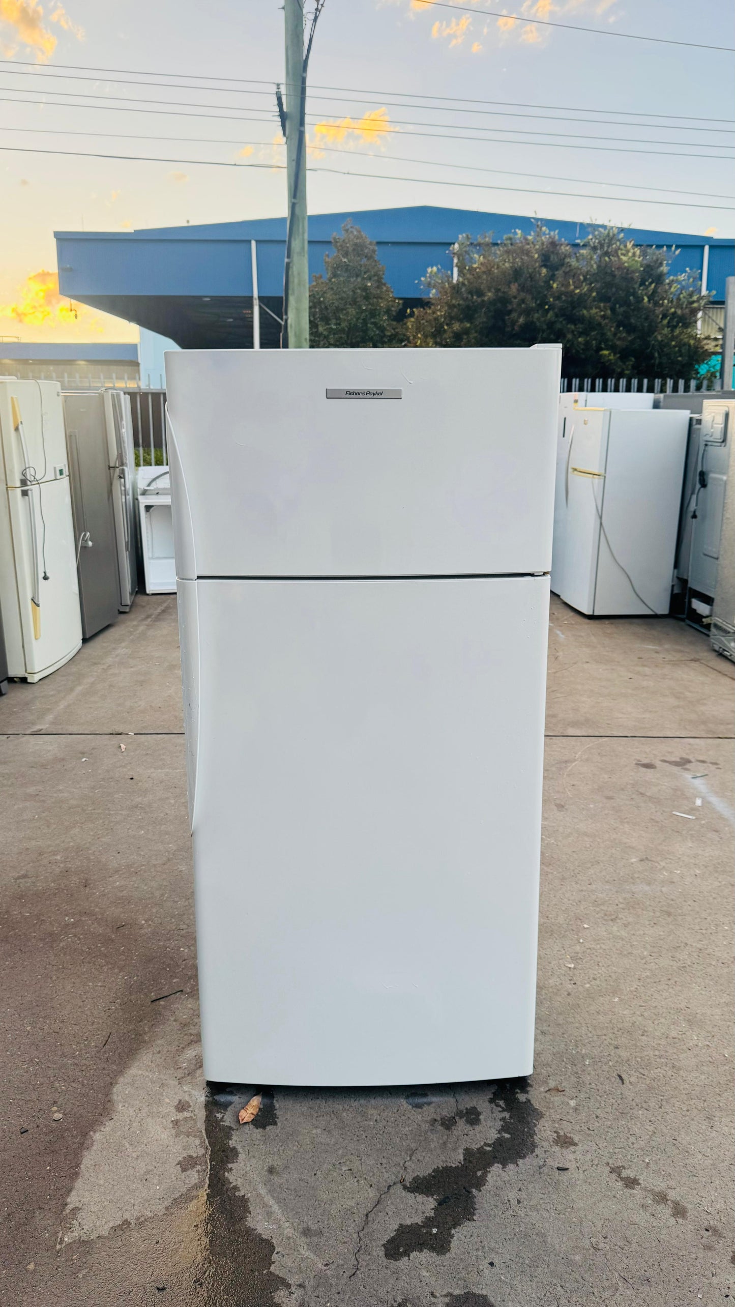 FISHER AND PAYKEL 517 LITRES FRIDGE FREEZER