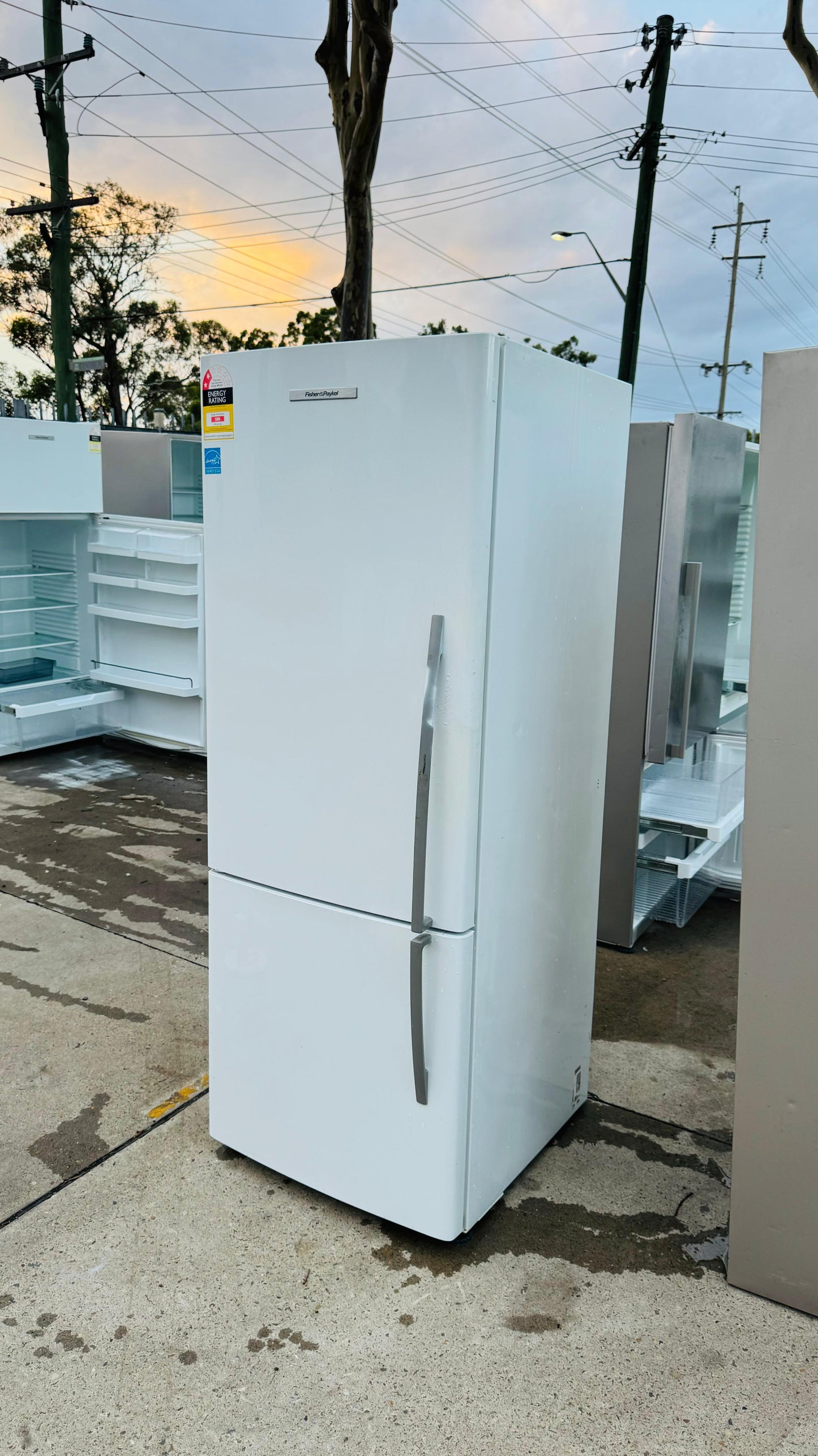 FISHER AND PAYKEL 403 LITRES FRIDGE FREEZER