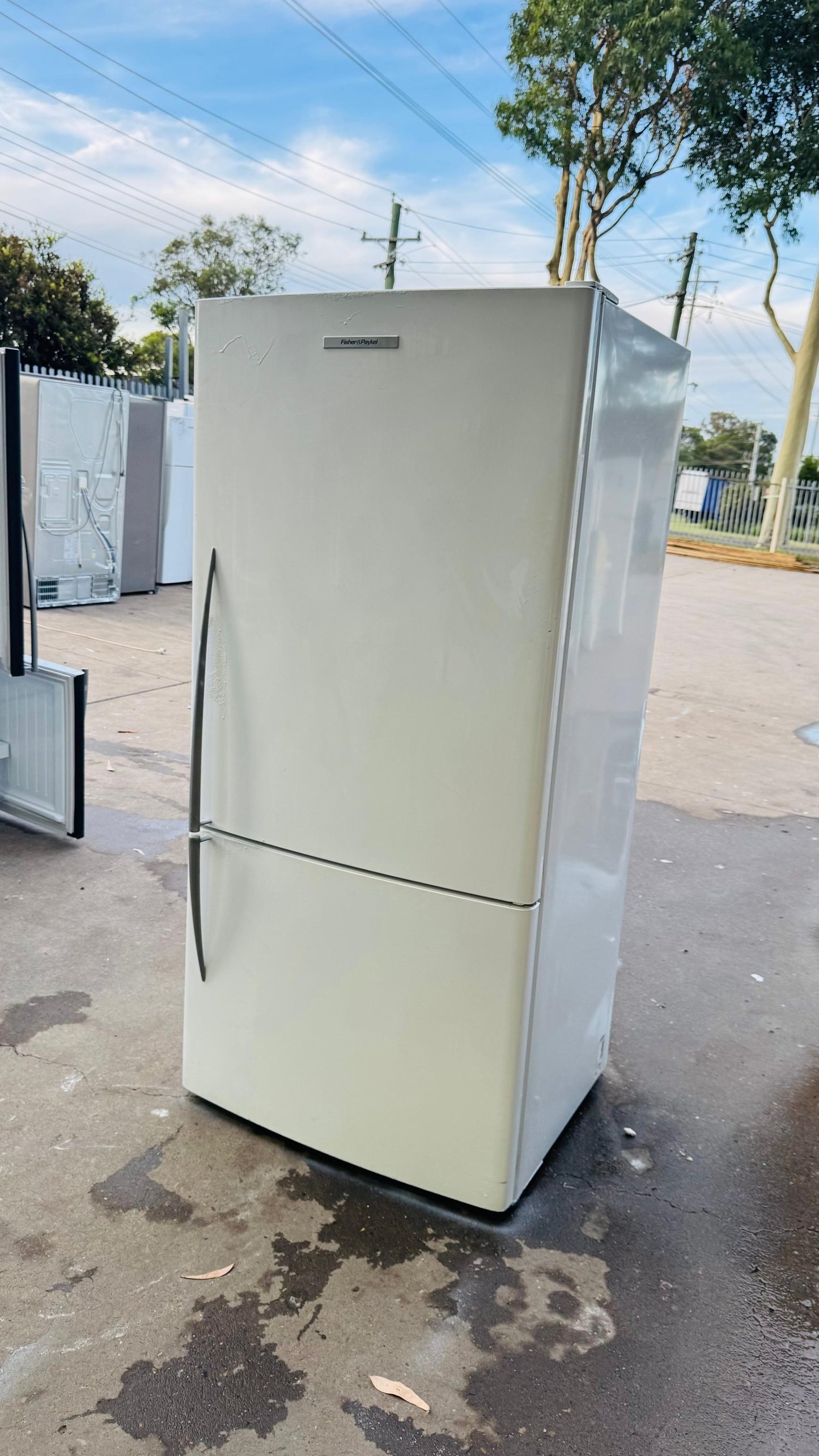FISHER AND PAYKEL 519 LITRES FRIDGE FREEZER